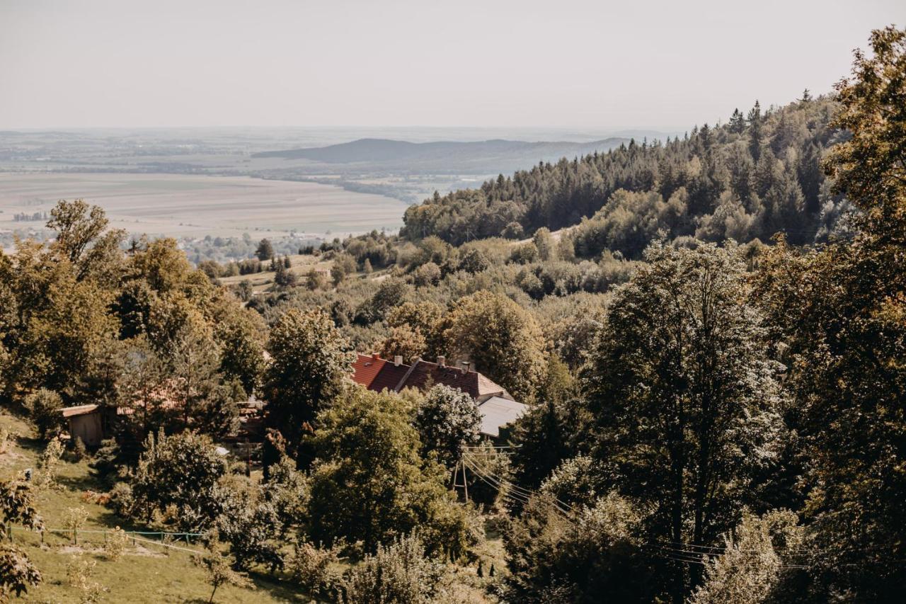 Villa Hubertus Srebrna Góra Eksteriør billede