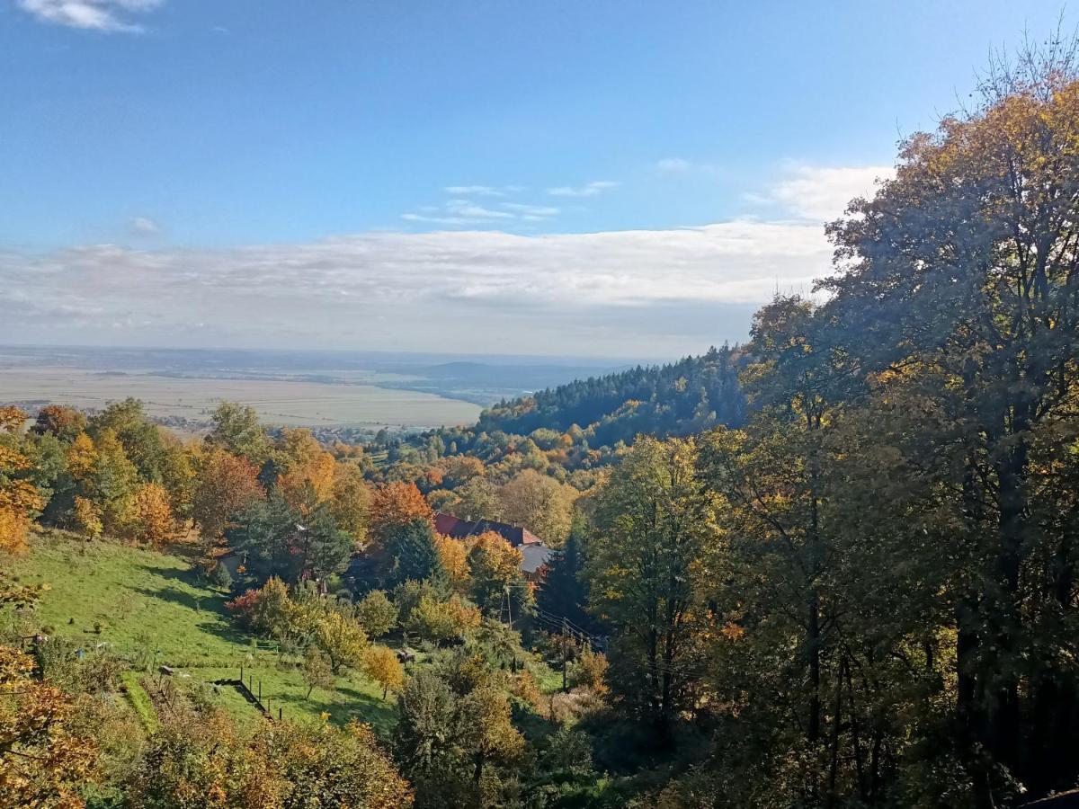 Villa Hubertus Srebrna Góra Eksteriør billede