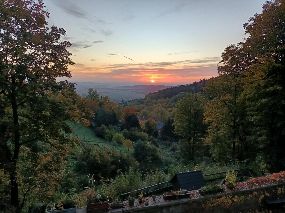 Villa Hubertus Srebrna Góra Eksteriør billede