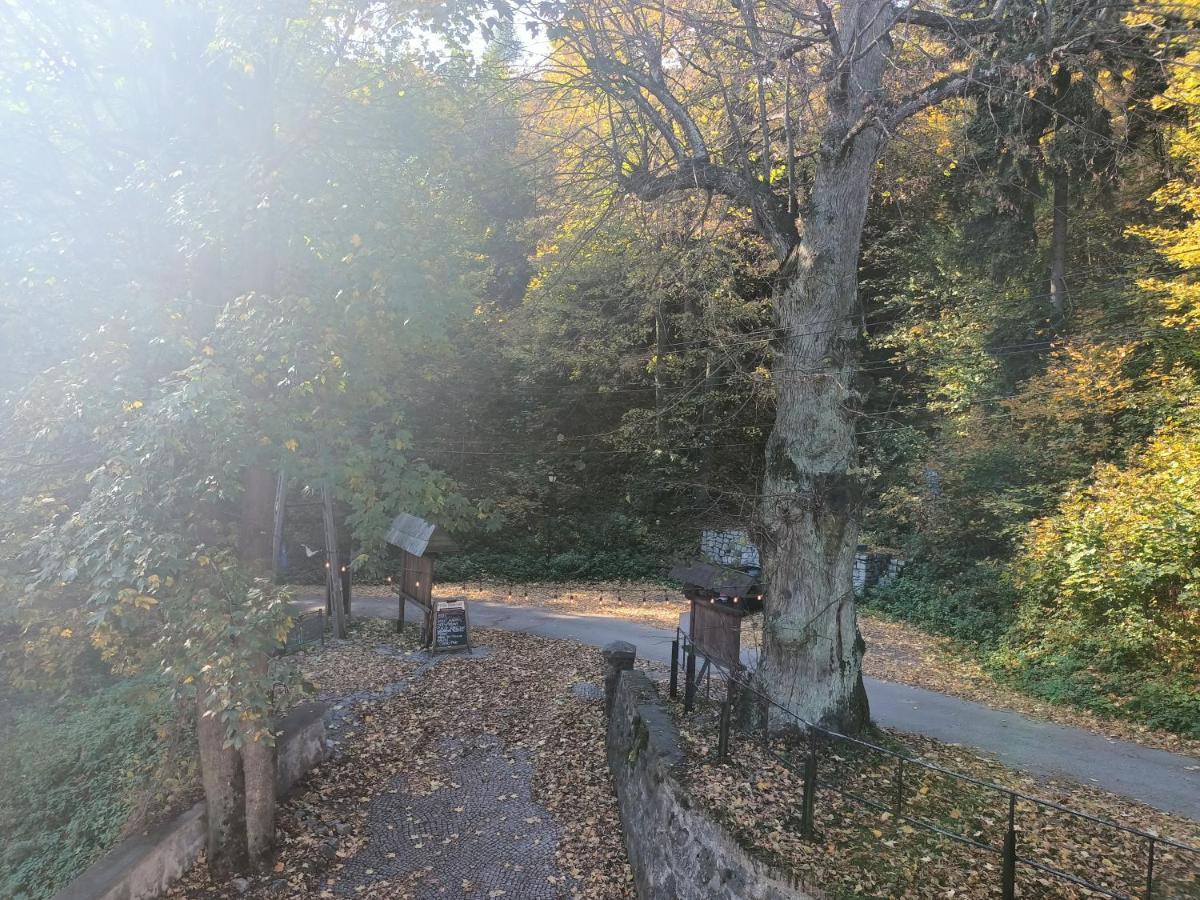 Villa Hubertus Srebrna Góra Eksteriør billede