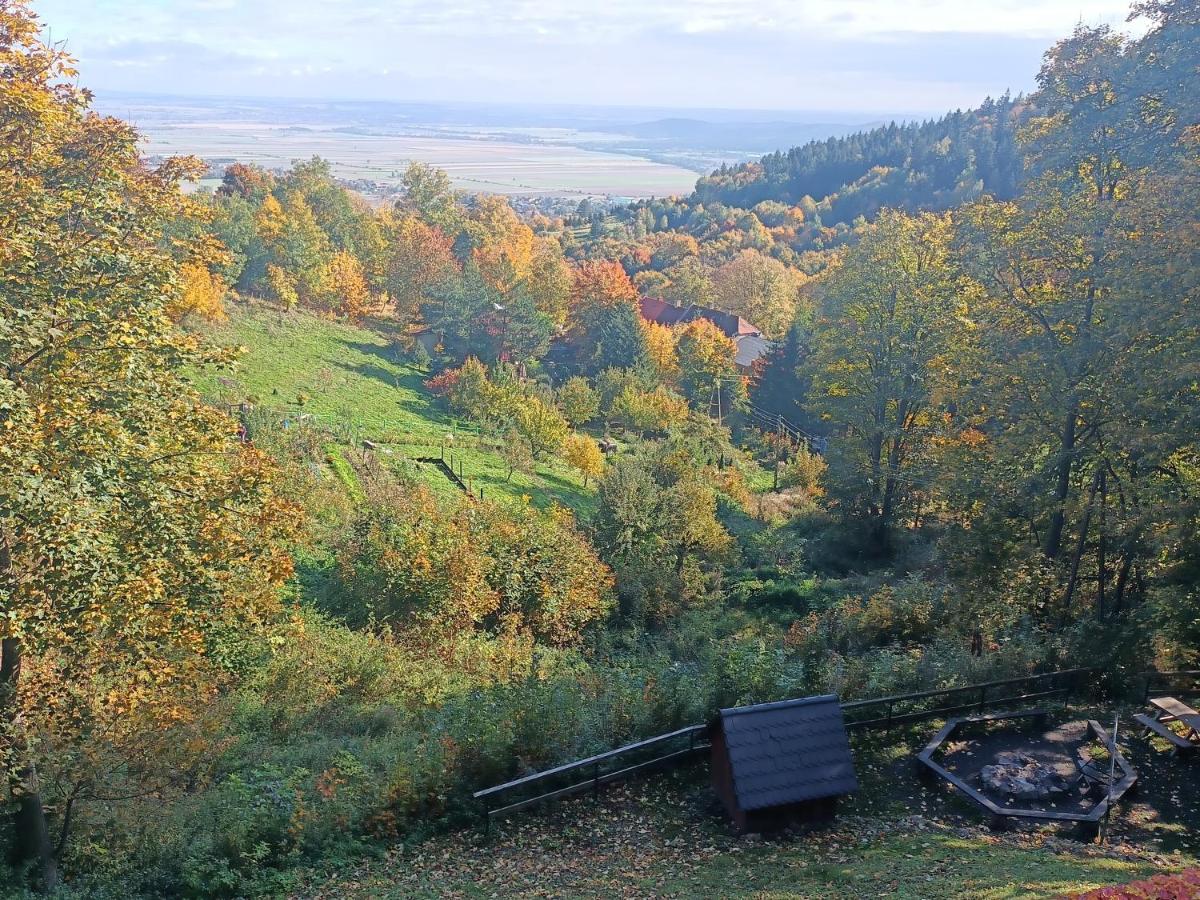Villa Hubertus Srebrna Góra Eksteriør billede